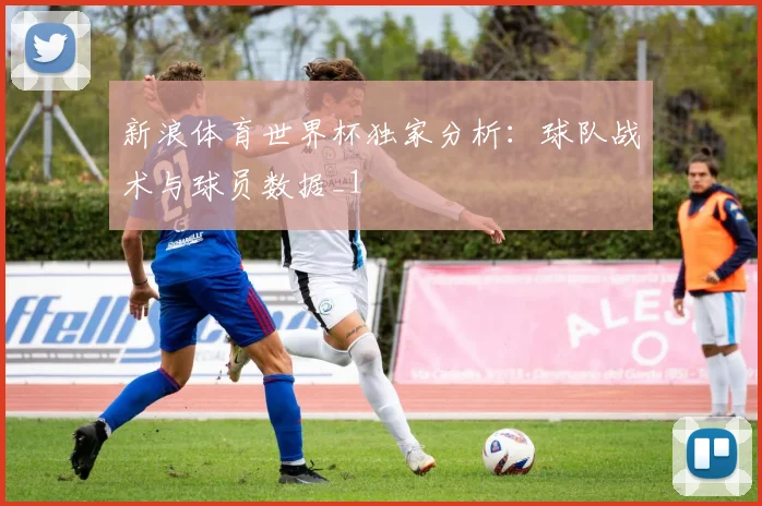 新浪体育世界杯独家分析：球队战术与球员数据_1