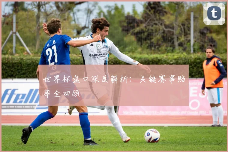 世界杯盘口深度解析：关键赛事赔率全回顾