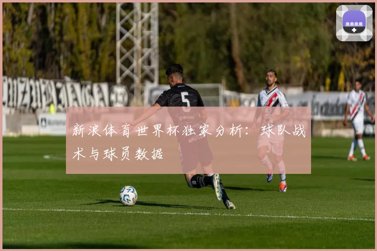 新浪体育世界杯独家分析：球队战术与球员数据