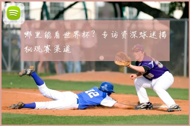 哪里能看世界杯？专访资深球迷揭秘观赛渠道