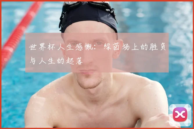 世界杯人生感慨：绿茵场上的胜负与人生的起落