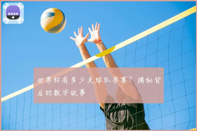 世界杯有多少支球队参赛?揭秘背后的数字故事