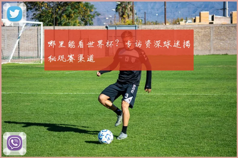 哪里能看世界杯？专访资深球迷揭秘观赛渠道