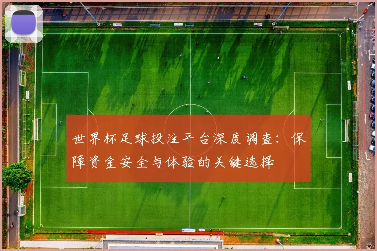 世界杯足球投注平台深度调查：保障资金安全与体验的关键选择