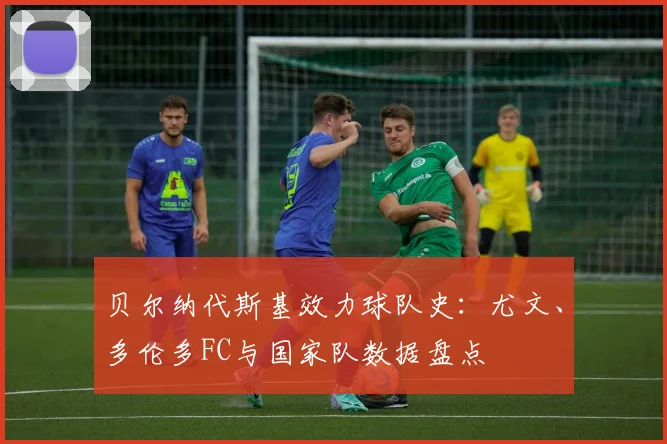 贝尔纳代斯基效力球队史:尤文、多伦多FC与国家队数据盘点