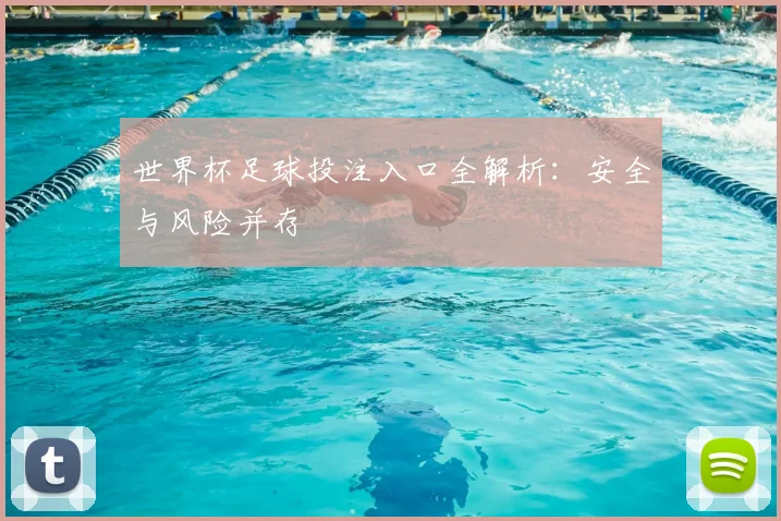 世界杯足球投注入口全解析:安全与风险并存