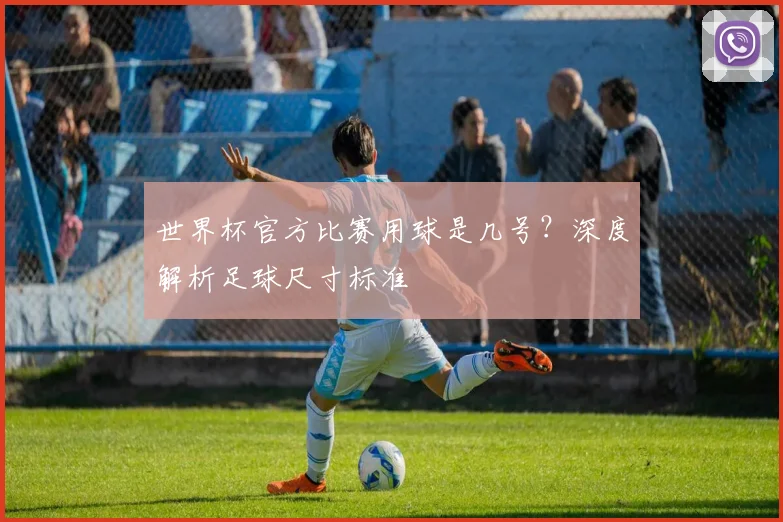 世界杯官方比赛用球是几号？深度解析足球尺寸标准