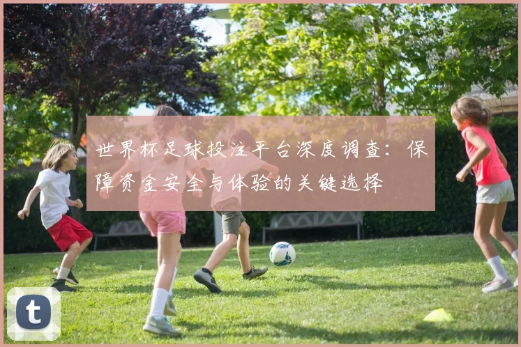 世界杯足球投注平台深度调查:保障资金安全与体验的关键选择