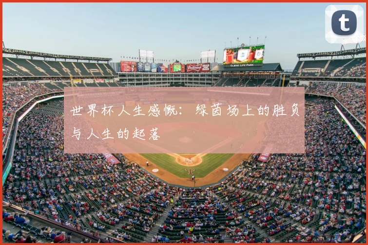 世界杯人生感慨:绿茵场上的胜负与人生的起落