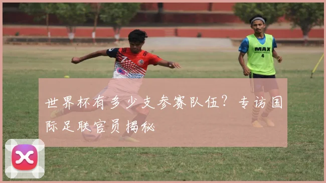 世界杯有多少支参赛队伍？专访国际足联官员揭秘