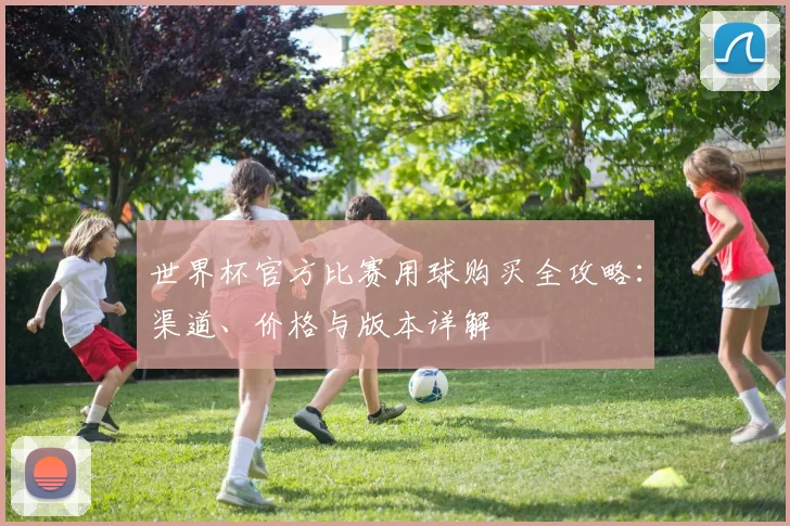 世界杯官方比赛用球购买全攻略:渠道、价格与版本详解