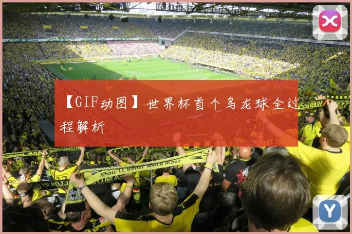 【GIF动图】世界杯首个乌龙球全过程解析