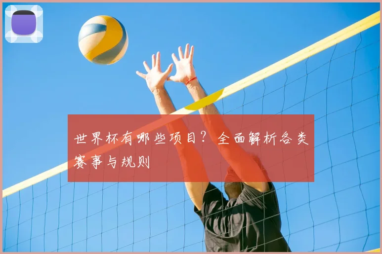 世界杯有哪些项目?全面解析各类赛事与规则
