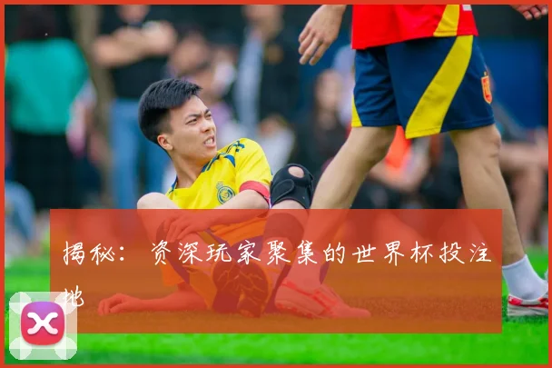 揭秘：资深玩家聚集的世界杯投注地