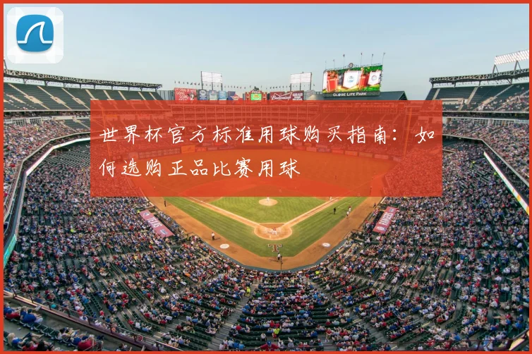 世界杯官方标准用球购买指南：如何选购正品比赛用球