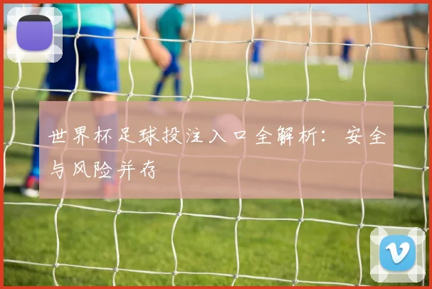 世界杯足球投注入口全解析:安全与风险并存