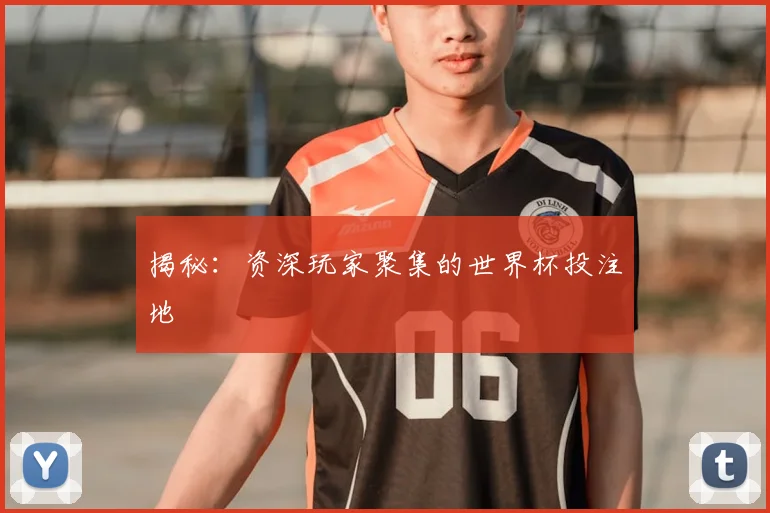 揭秘：资深玩家聚集的世界杯投注地