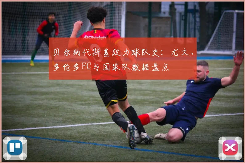 贝尔纳代斯基效力球队史:尤文、多伦多FC与国家队数据盘点